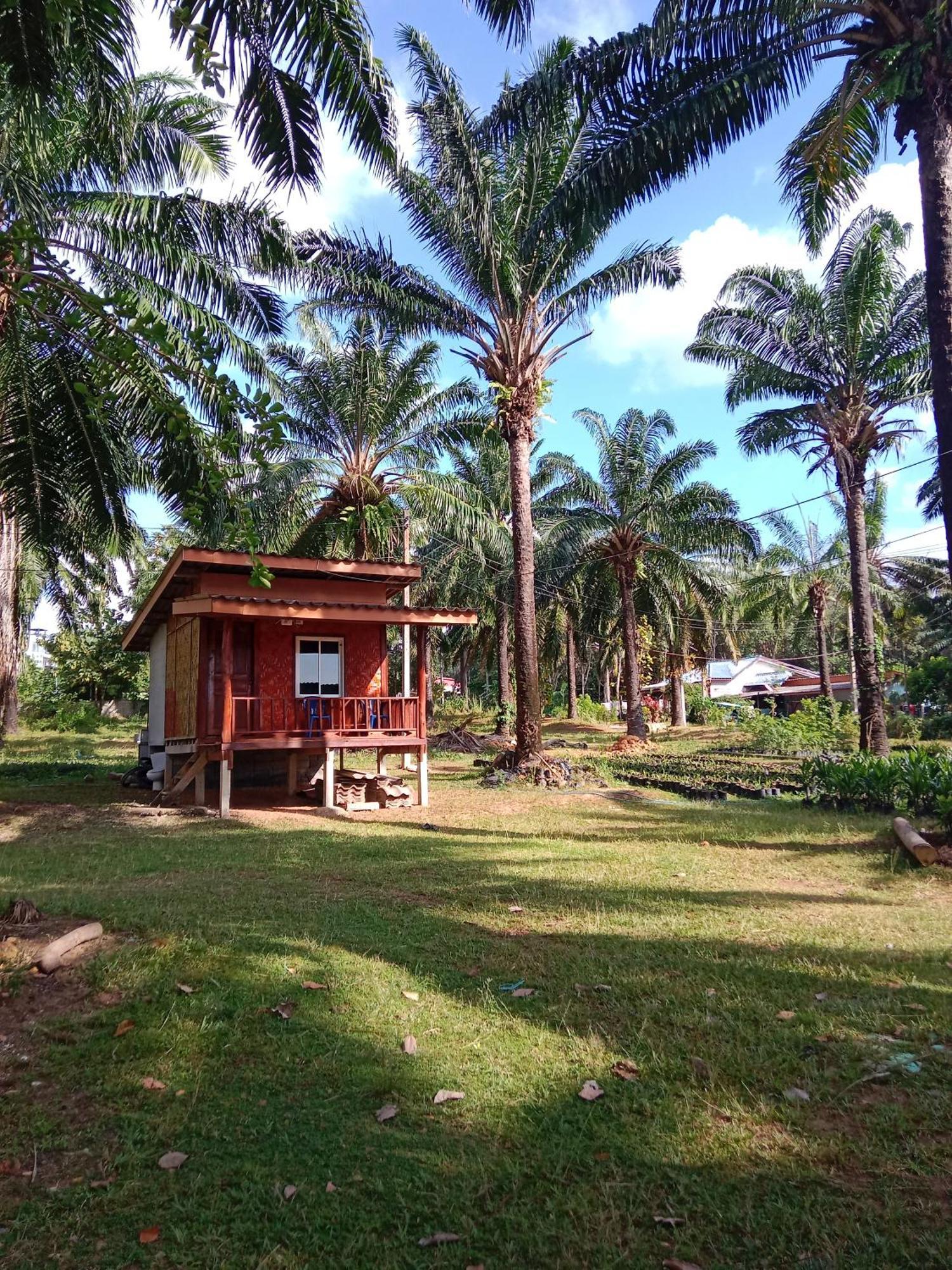 Hotel Som Palm Garden Ko Lanta Exterior foto